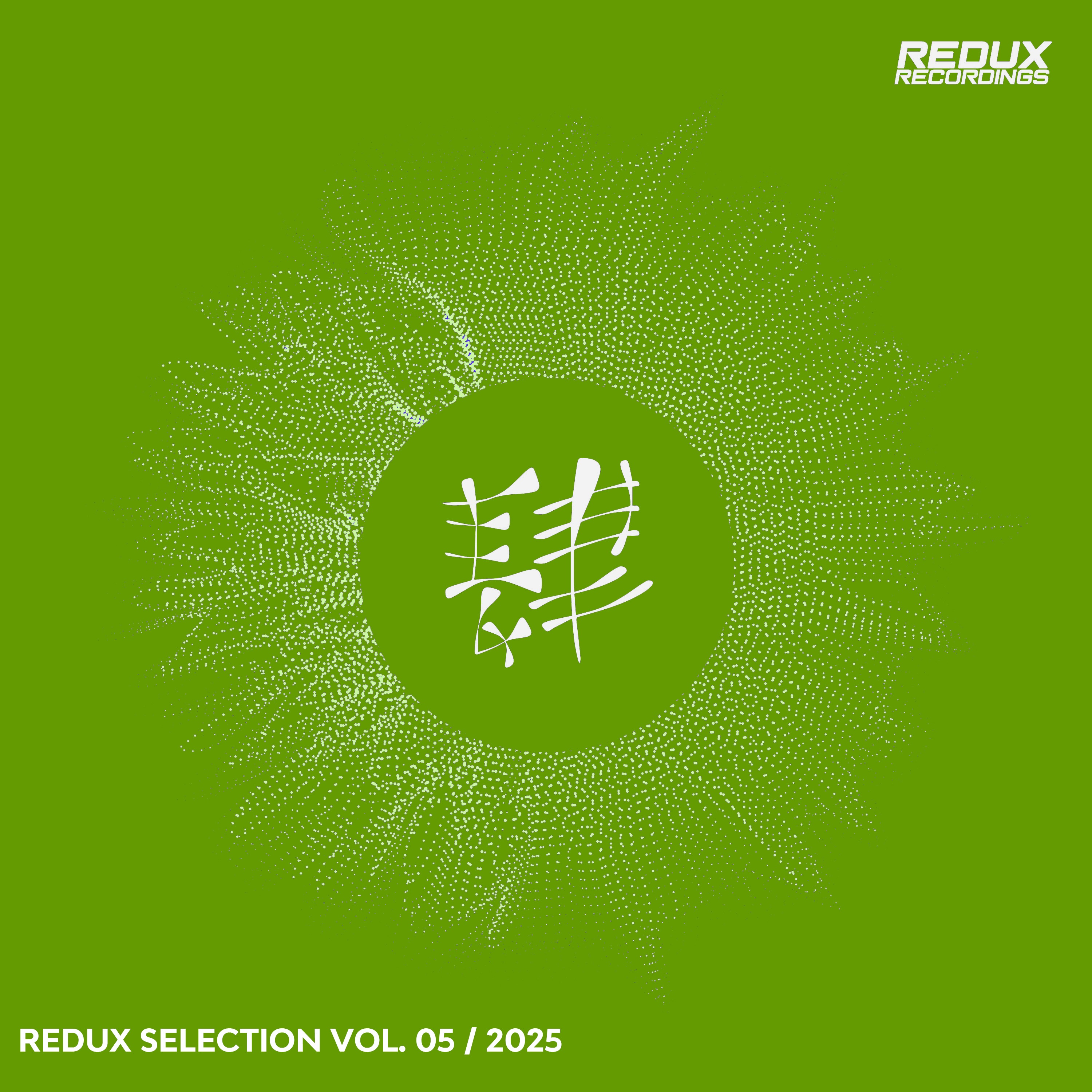 Redux Selection, Vol. 5 / 2025