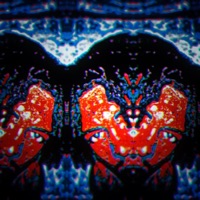 BOTTEGA - Single - Draco Wave