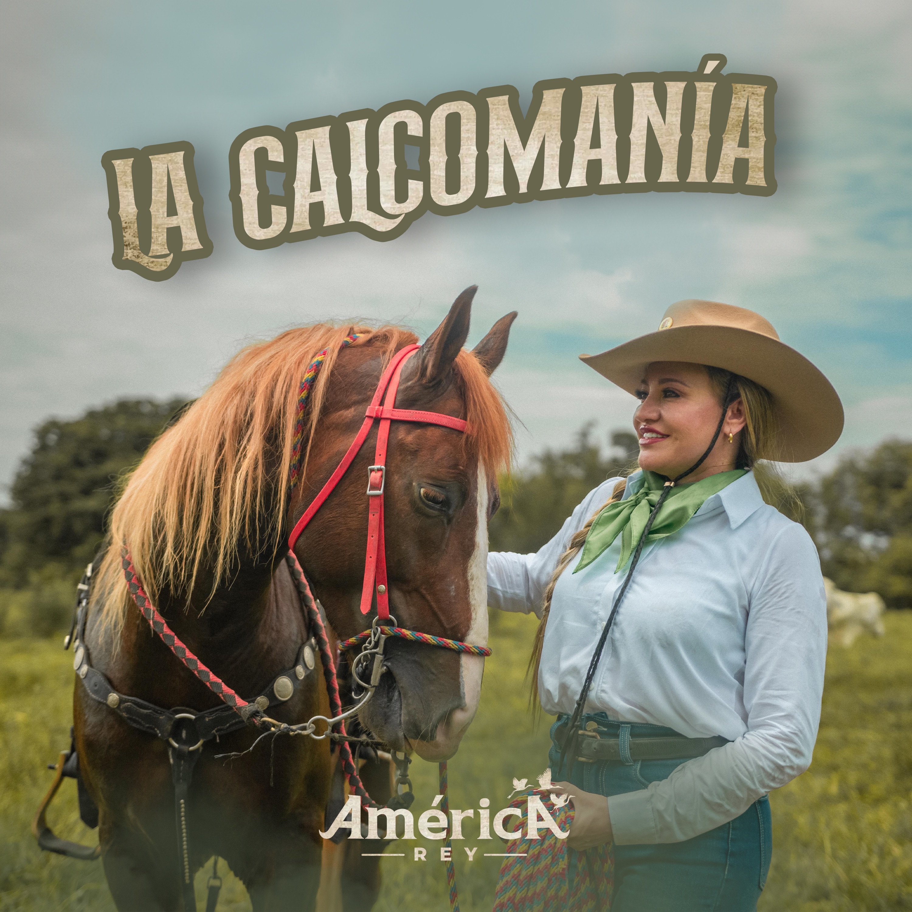 La Calcomanía - Single