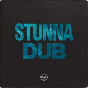 Heavy Vibes Dub