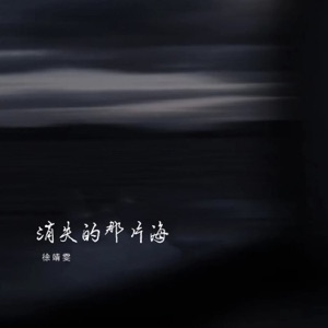 消失的那片海 - Single