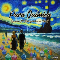 Pura Química (feat. Marquinho no Beat) - Single - Gaman