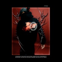 AWAKE - Single - noego