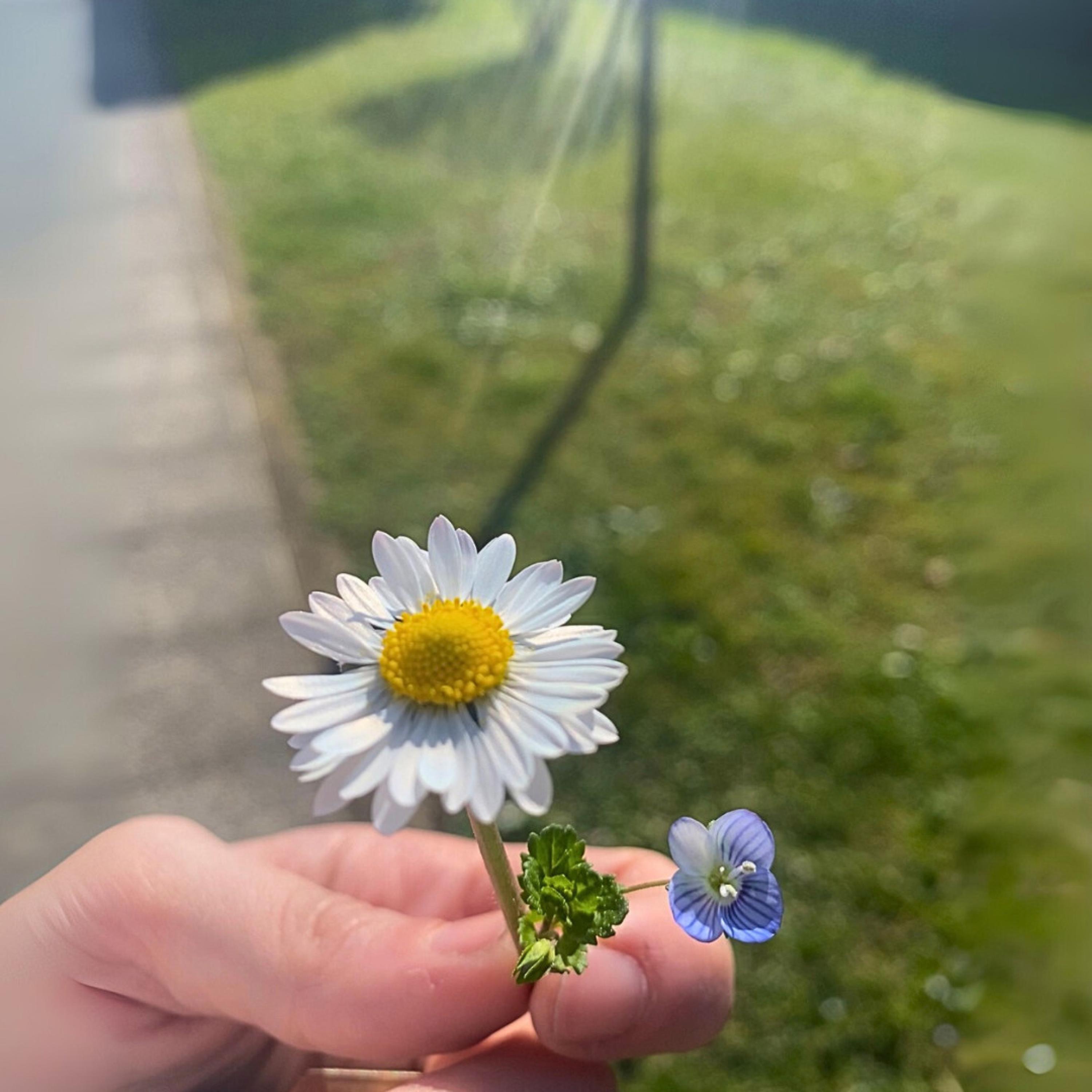 Dentro un altro film - Single