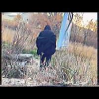 Look in My Eyes Again - Single - YOUNG HOLLOW