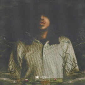 Marécages Taythugger1