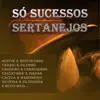 Nestor E Nestorzinho - João Boiadeiro