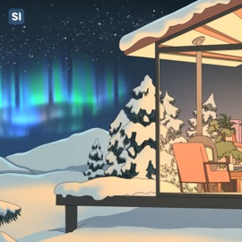 Homecoming eleven & Lo-Fi Tigers