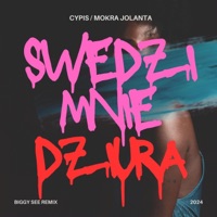 Swędzi Mnie Dziura (feat. Cypis & Mokra Jolanta) [Biggy See Remix] - Single - Biggy See