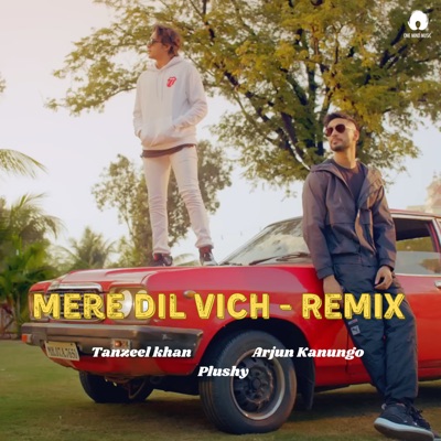 Mere Dil Vich - Remix - Single