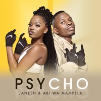 Psycho (feat. Hitboss SA & King Master) - Single - Janesh