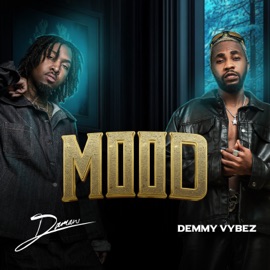 Mood Demmy Vybez & Damani