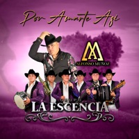 Por Amarte Así - Single - Grupo La Escencia & Alfonso Muñoz