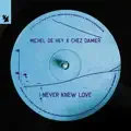 I Never Knew Love