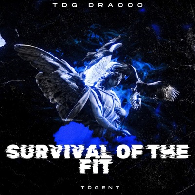Survival Of The Fit - Single