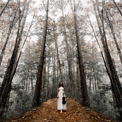 214 (feat. Logic OnTheBeat) - Single