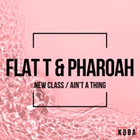 New Class / Ain't a Thing - Single - Flat T & Pharoah
