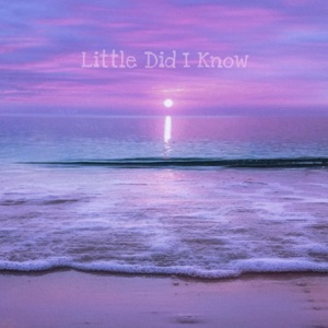 Little Did I Know - Single