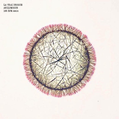 Vraie Drogue (feat. Anilomoguh) - Single