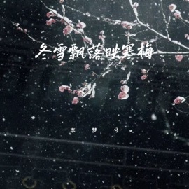 冬雪飘落映寒梅 李梦兮