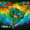 Hamilton de Holanda & C4 Trío - Vale la Pena