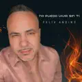 NO PUEDO VIVIR SIN TI