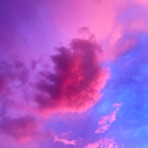 The Unbearable Yet Reassuring Awareness of Universal Uselessness - Single