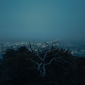 Endlessly - Single