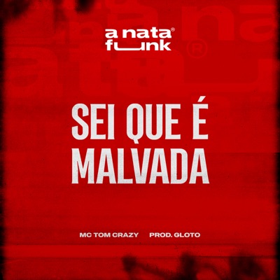 Sei Que é Malvada (feat. Prod Gloto) - Single