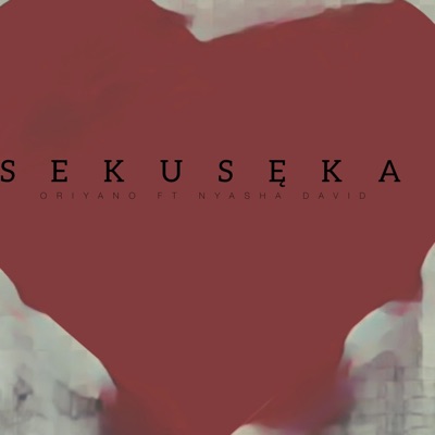 Areka (feat. Nyasha David) - Single