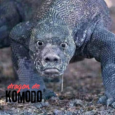 Dragon de Komodo (feat. ivanadicto & ZIENN) - Single