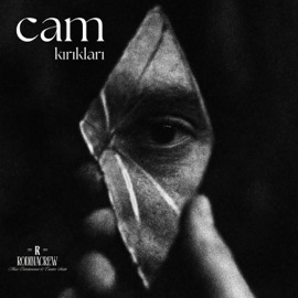 Cam Kırıkları Ensbra