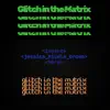 Jessica Nicole Brown - Glitch in the Matrix