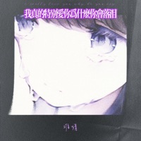 我真的特别爱你为什么你会落泪 - Single - 难猜