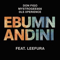 Ebumnandini (feat. Leefura) - Single - Don Figo, MystroGee8O8 & Dls Xperience