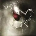 Bird in paradise