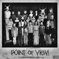 POINT OF VIEW! - Single - ZILLVH