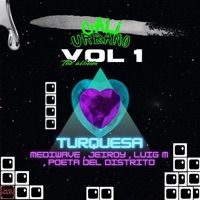 TURQUESA (Vol.1) (feat. Jeiroy, Luig-M, Poeta del distrito & Mediwave) - Single - Caliurbano
