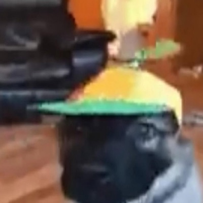 stuff i forgot to drop - Single