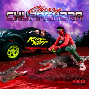 Tip Toe In Rick Owens (feat. Sada Baby & Sauce Walka) [Chopped Not Slopped]