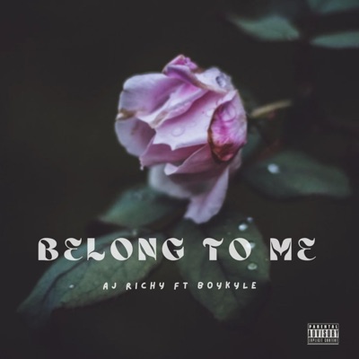 Belong To Me (feat. Boykyle) - Single