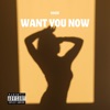 Want You Now (feat. Knzie) - Single