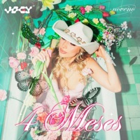 4 Meses - Single - Jocy