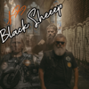 Independentmusicart - Black Sheep artwork