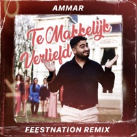 Te Makkelijk Verliefd (FEESTNATION REMIX) - Single - Ammar