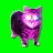 OIIA OIIA AURA CAT