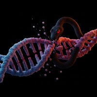 Casta (feat. Suárez) - Single - HVCHE