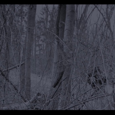 Blackhawk Down (Way I'm Crashin Out) (feat. Heezy the Artist) - Single