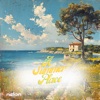 Percy Faith - Theme from "A Summer Place"