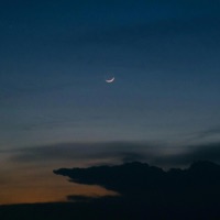 drifting off - Single - herman.